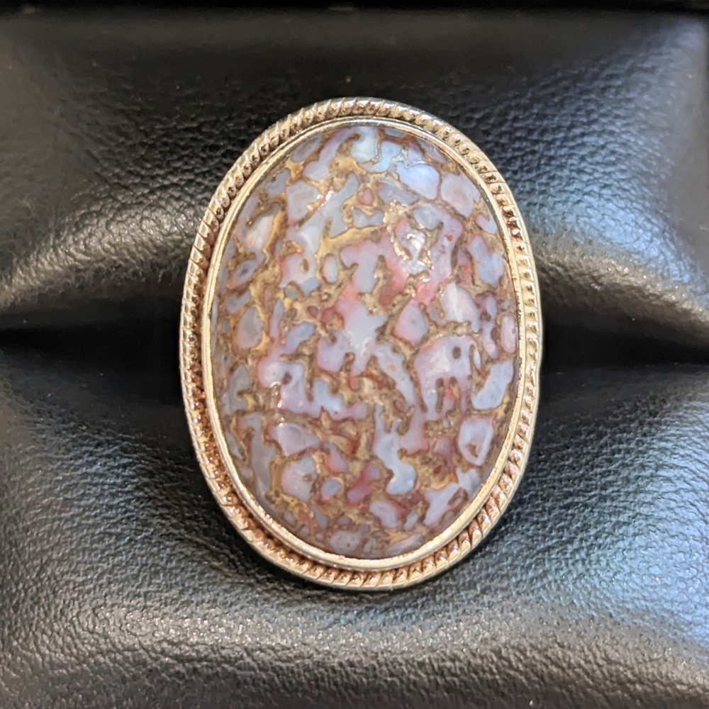 Dinosaur Bone 925 Silver Ring